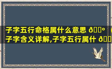 子字五行命格属什么意思 🌺 （子字含义详解,子字五行属什 🌲 么）